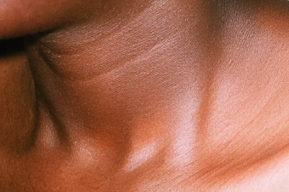 Безопасная платформа подписки, помогающая авторам зарабатывать по всем 3